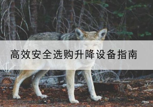广灵升降货梯厂家推荐-*安全选购升降设备指南