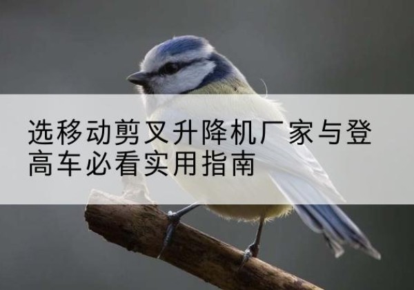 广灵电动升降机厂家-选移动剪叉升降机厂家与登高车必看实用指南