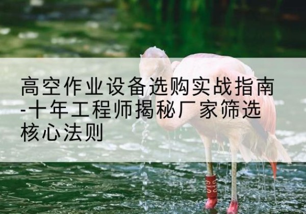 广灵剪叉式升降机厂家-高空作业设备选购实战指南-十年工程师揭秘厂家筛选核心法则